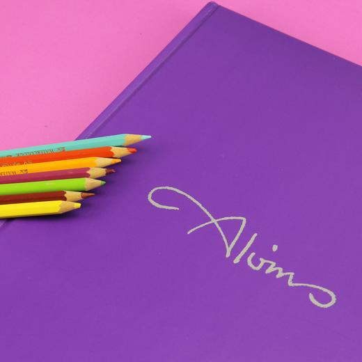 捕梦艺术：约翰•阿尔文的手绘电影海报（《E.T.》《银翼杀手》《异形》《侏罗纪公园》 手绘大神海报集 艺术与商业的完美融合，收藏界卖出天价 卢卡斯、斯皮尔伯格排队争相合作并伺机据为己有） 商品图2