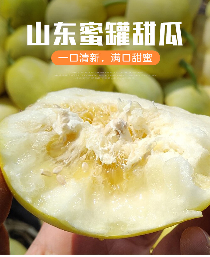 山东蜜罐甜瓜新鲜脆甜现摘现发时令水果甜瓜5斤装包邮
