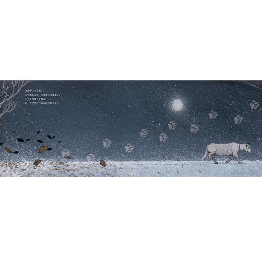 永不停止的奔跑【绘本】 商品图4