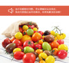 物本源·无土栽培多彩圣女果 七彩樱桃小西红柿  330g 商品缩略图0