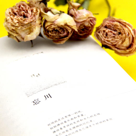 冒牌人生（发生在光辉都市里的怪诞故事 独立艺术家徐冰好评推荐） 商品图4