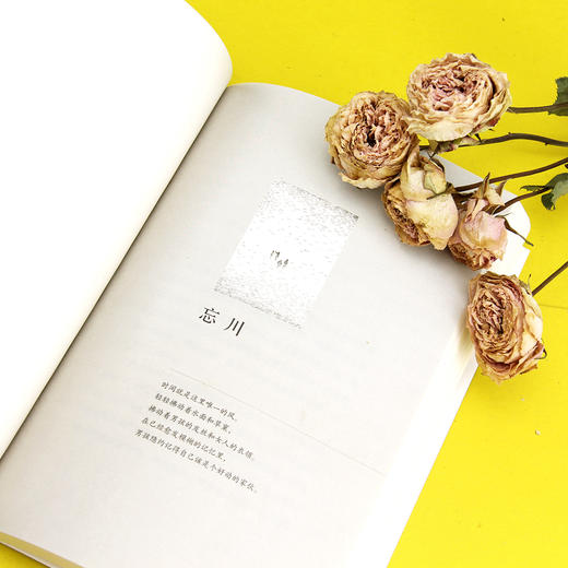 冒牌人生（发生在光辉都市里的怪诞故事 独立艺术家徐冰好评推荐） 商品图3