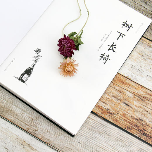 树下长椅（一场无声的交响曲 一部无对话的话剧 《灯塔》作者的又一次艺术实验 用一把长椅展现人生百态 用一个个过客描绘光阴的故事） 商品图4