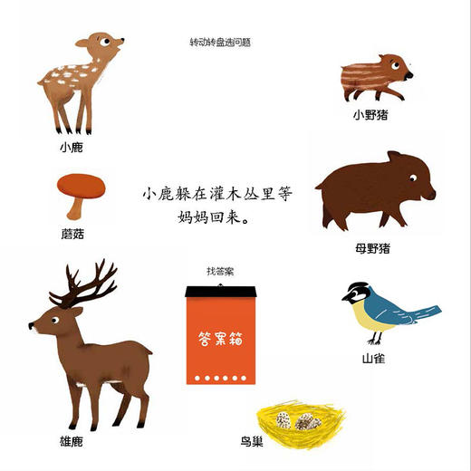 【2-7岁】 小手转转 动物世界 玛丽帕瑞缇 著 中信出版社图书 正版书籍 商品图2