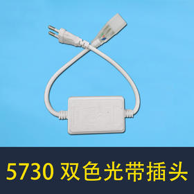 5730 双色光带插头 变光