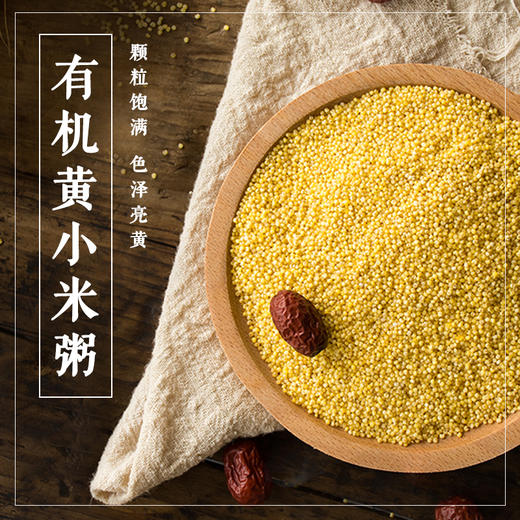 有机黄小米粥 商品图0