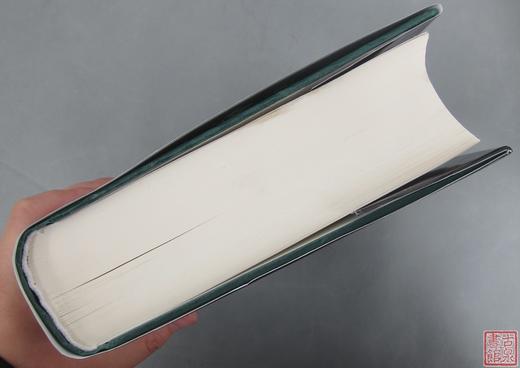 《新编甲骨文字典》 商品图11