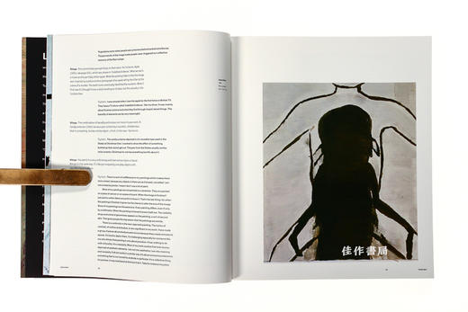 Luc Tuymans (Contemporary Artists)  吕克·图伊曼斯 商品图2