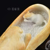【和谐】猫和老鼠  BW302013 商品缩略图2