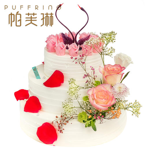 挚爱一生 商品图0