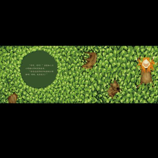 《苏菲捉迷藏》：匈牙利超人气绘本作家、插画师联袂推出 稳居匈牙利绘本畅销榜前列 商品图3