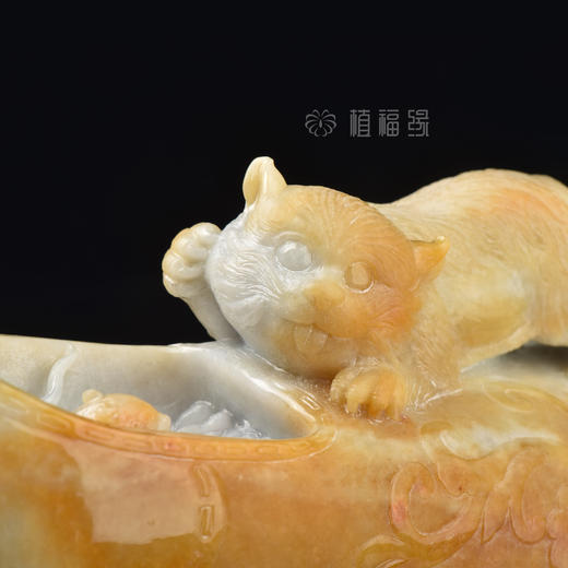 【和谐】猫和老鼠  BW302013 商品图3