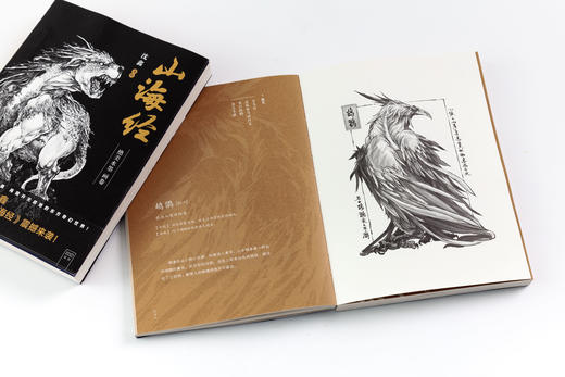山海经：绝美水墨画卷 商品图4
