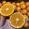 以色列柑橘 甘甜可口 经济实惠 2kg/份 商品缩略图0