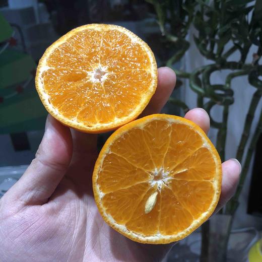 以色列柑橘 甘甜可口 经济实惠 2kg/份 商品图3