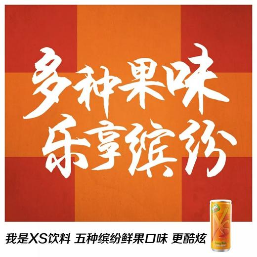 XS饮料(多口味)250mlx6罐每包/ 人参/0食糖/牛磺酸 商品图2