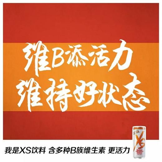 XS饮料(多口味)250mlx6罐每包/ 人参/0食糖/牛磺酸 商品图4