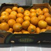 以色列柑橘 甘甜可口 经济实惠 2kg/份 商品缩略图2