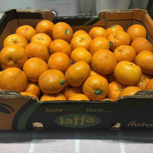 以色列柑橘 甘甜可口 经济实惠 2kg/份 商品图2