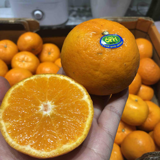 以色列柑橘 甘甜可口 经济实惠 2kg/份 商品图5