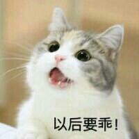 社区团购测试勿动