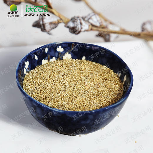 北大荒牧业沃农场灰藜麦450g包邮 商品图2