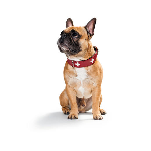 Hunter Collar Swiss Red 商品图2