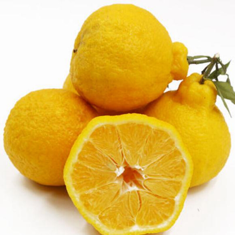 网红柠檬不知火丑橘,1.1kg左右