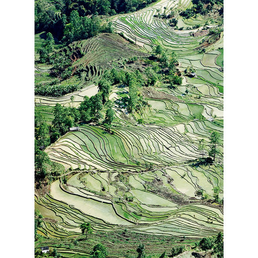 美在乡村（潘鲁生 著） 商品图2