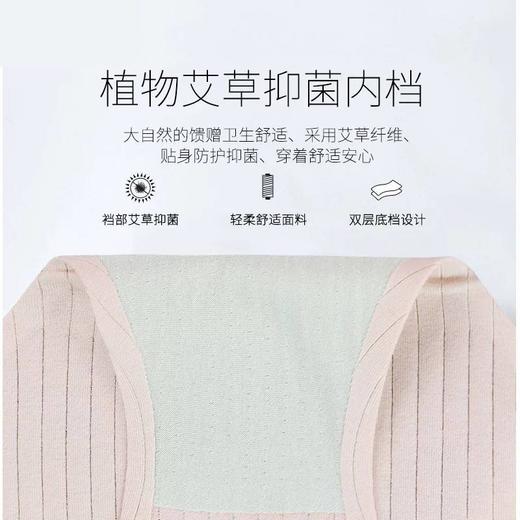 3条装 艾草植物无痕内裤女棉内裤 商品图1