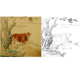 工笔动物白描底稿-孙锡之作品十二生肖-牛-斗方小品册页-SY02