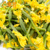 东升 青瓜花 黄瓜花  广州蔬菜新鲜配送200G 商品缩略图3