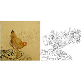 工笔动物白描底稿-孙锡之作品十二生肖-鸡-斗方小品册页-SY10