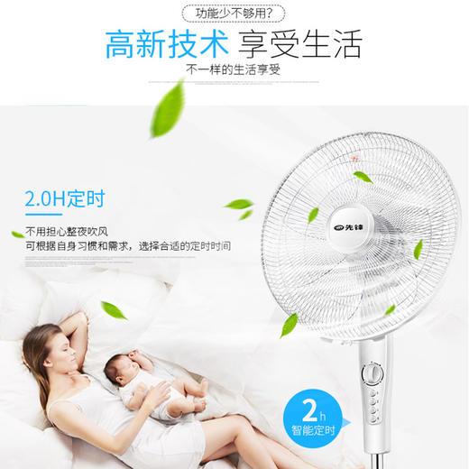 先锋（Singfun）大风量电风扇/落地扇DD1702 商品图2