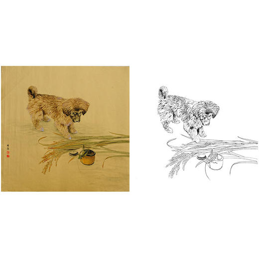 工笔动物白描底稿-孙锡之作品十二生肖-狗-斗方小品册页-SY11 商品图0