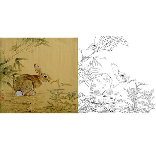 工笔动物白描底稿-孙锡之作品十二生肖-兔-斗方小品册页-SY04 商品图0