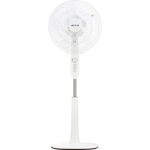 先锋（Singfun）大风量电风扇/落地扇10叶飓风系列DD1607 商品图0