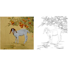 工笔动物白描底稿-孙锡之作品十二生肖-羊-斗方小品册页-SY08