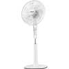 先锋（Singfun）大风量遥控电风扇/落地扇10叶飓风系列DD1605 商品缩略图0