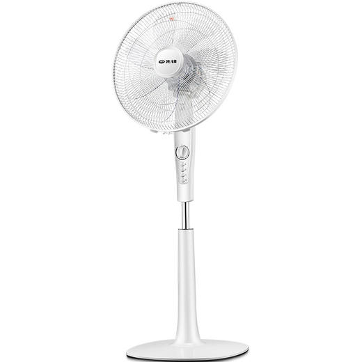 先锋（Singfun）大风量遥控电风扇/落地扇10叶飓风系列DD1605 商品图0
