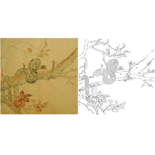 工笔动物白描底稿-孙锡之作品十二生肖-蛇-斗方小品册页-SY06 商品图0
