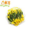 东升 青瓜花 黄瓜花  广州蔬菜新鲜配送200G 商品缩略图2