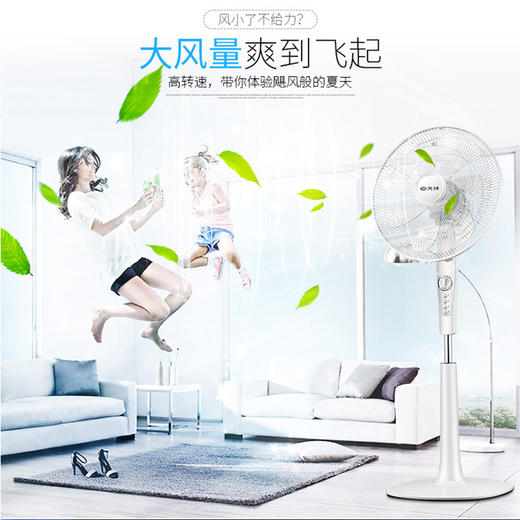 先锋（Singfun）大风量电风扇/落地扇DD1702 商品图1