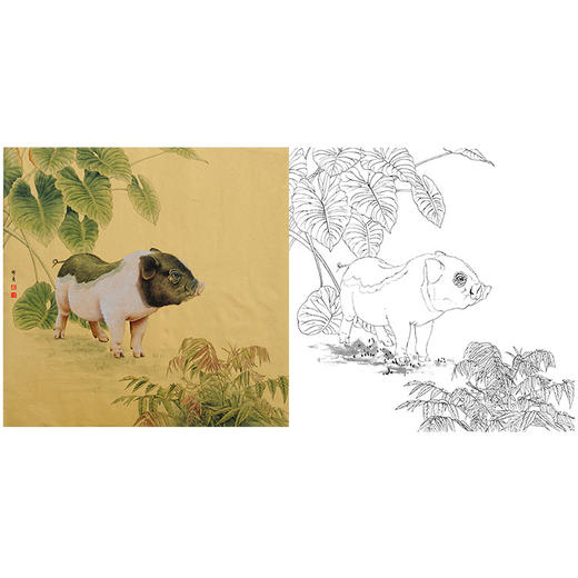 工笔动物白描底稿-孙锡之作品十二生肖-猪-斗方小品册页-SY12 商品图0
