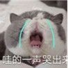 送你礼物 商品缩略图0