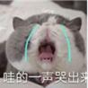 送你礼物 商品图0
