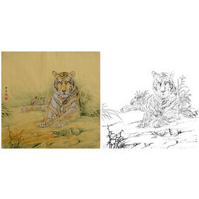 工笔动物白描底稿-孙锡之作品十二生肖-虎-斗方小品册页-SY03