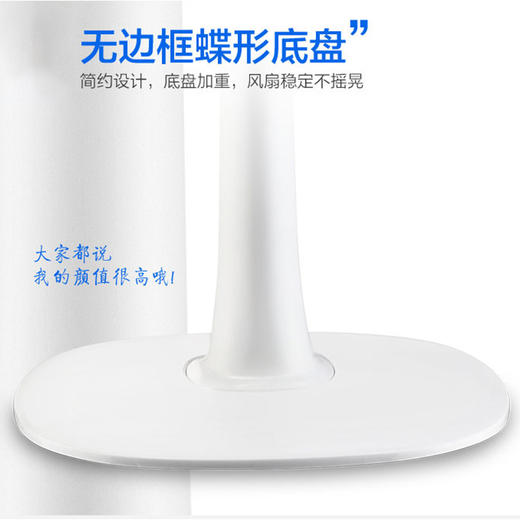 先锋（Singfun）大风量电风扇/落地扇10叶飓风系列DD1607 商品图5