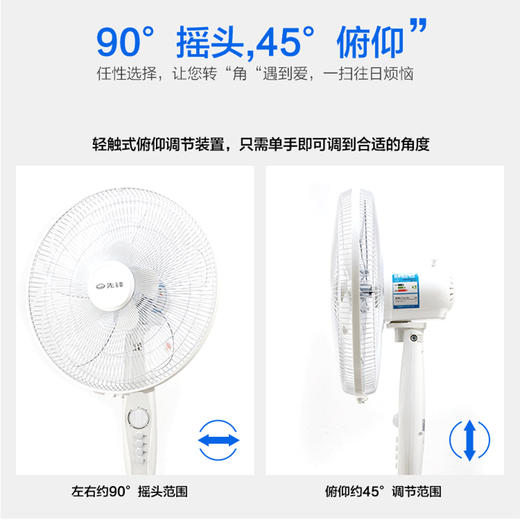 先锋（Singfun）大风量电风扇/落地扇10叶飓风系列DD1607 商品图3