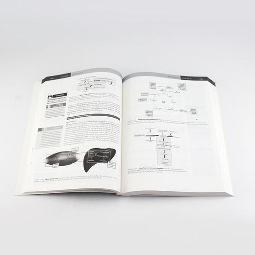 USMLE Step 1 基础知识（第3版）（英文版）美国执业医师资格考试、医生、医学生、基础医学 商品图2